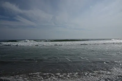 DSC_2283 (Large).JPG